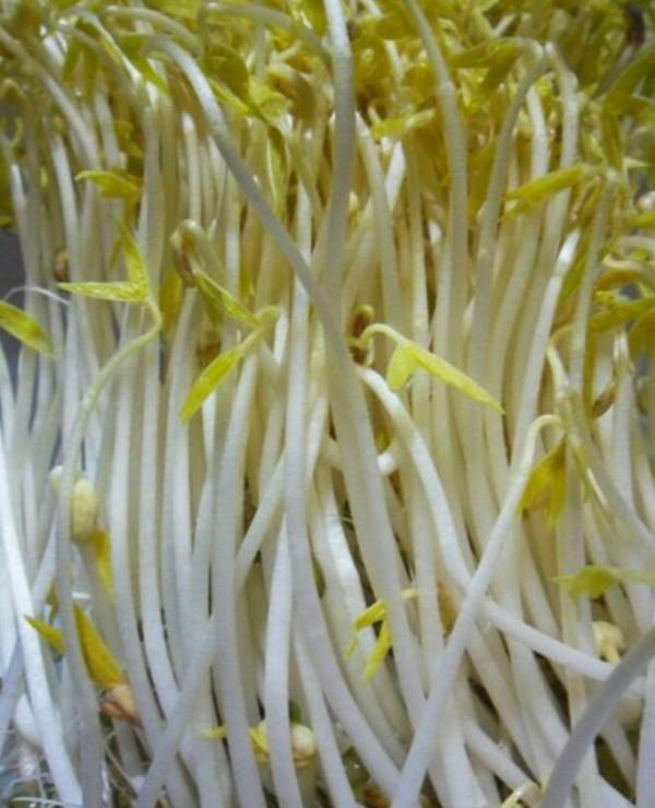 俗語故事:眼不見為淨 俗語故事:眼不見為淨