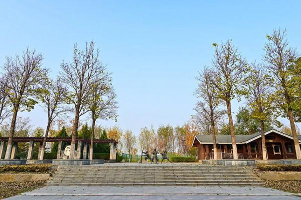 獨一無二！公園裡也能跑火車！京西這處免費的森林公園，值得玩