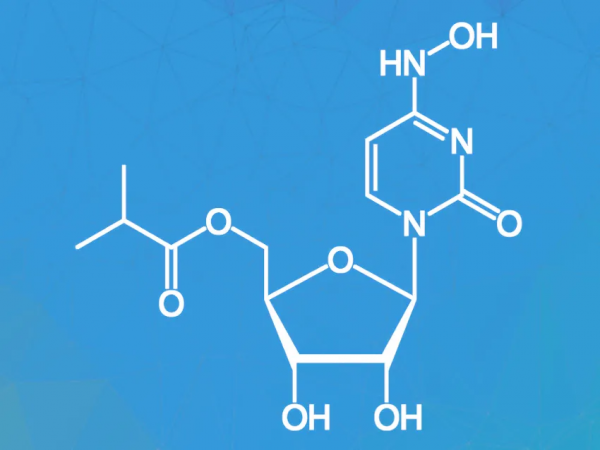 全球首個新冠口服藥物獲批!新冠病毒卻正在“吃掉”人類的大腦 全球首個新冠口服藥物獲批!新冠病毒卻正在“吃掉”人類的大腦