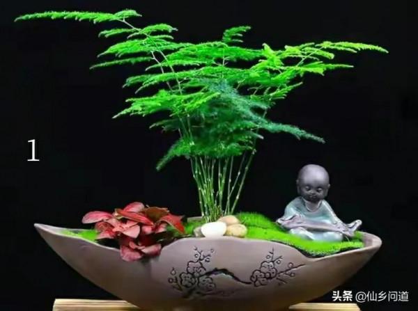 檢測你的抒情口味