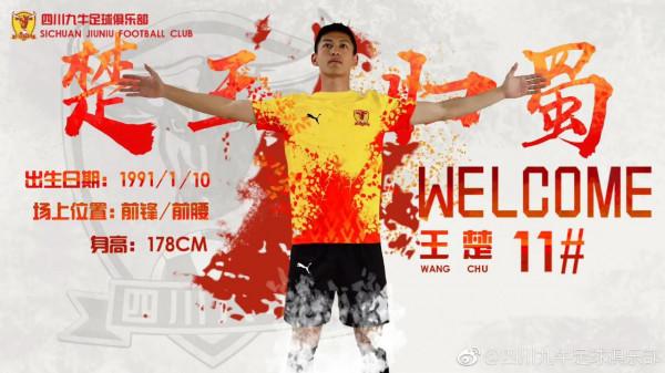 中國球員留洋回顧：被傷病毀掉的王楚