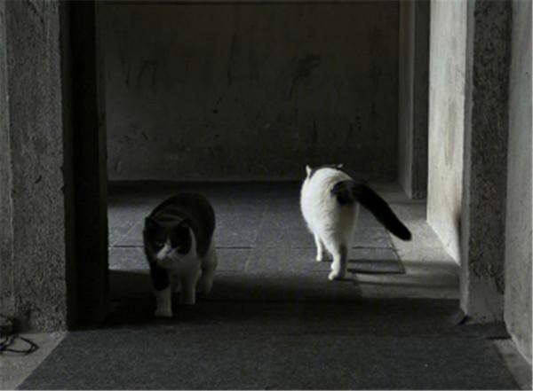 小夫妻沒錢裝修直接住毛坯房，卻佈置得超溫馨！網友：這生活羨慕