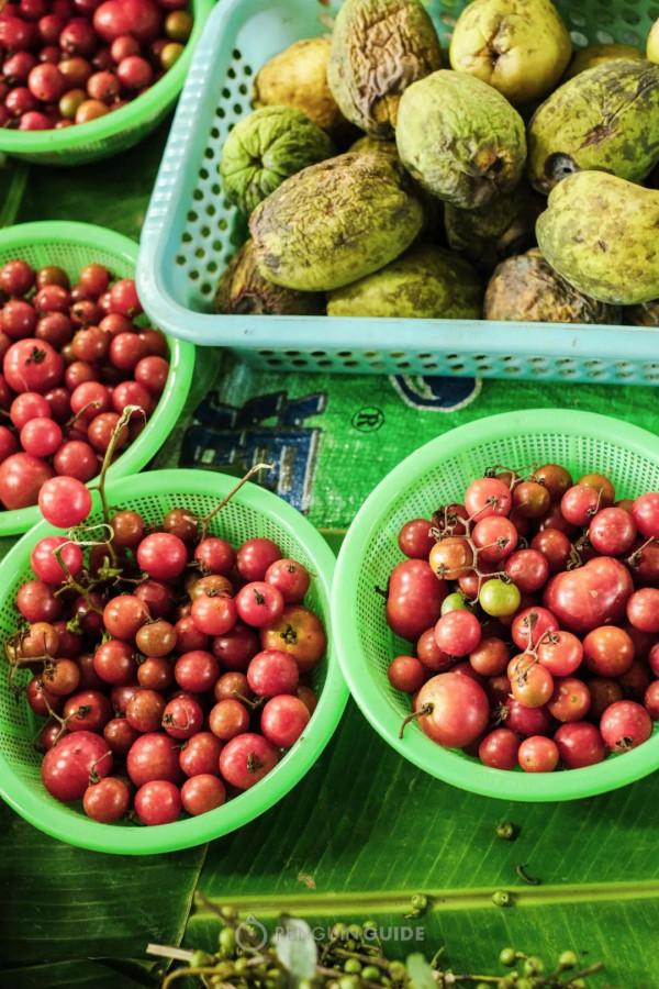 全國秋天神仙菜市場大賞 全國秋天神仙菜市場大賞