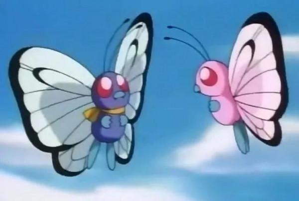 那些被小智放生的神奇寶貝，還記得嗎？