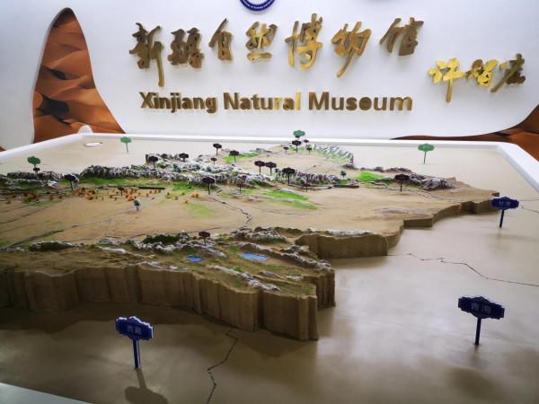 參觀新疆自然博物館