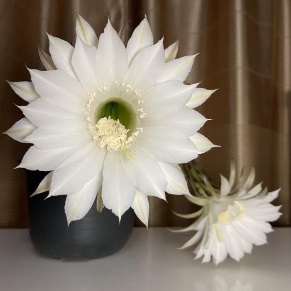 老師佈置了1份作業，導致我和孩子冷戰三天，到底是誰錯了