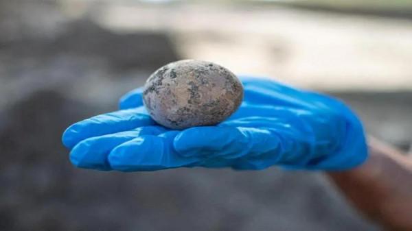 先有雞還是先有蛋?這個爭論不休的問題,科學家終於找到答案了 先有雞還是先有蛋?這個爭論不休的問題,科學家終於找到答案了