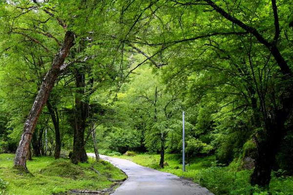 風雨莫斯卡 風雨莫斯卡