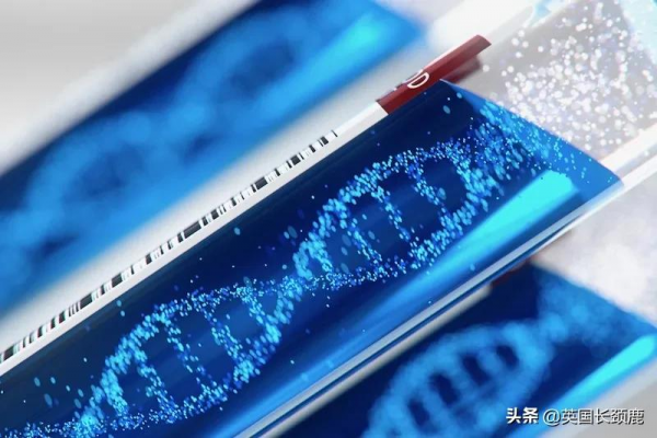 輝瑞公佈口服新冠藥：有效率89%！科學家發現新冠高風險基因訊號