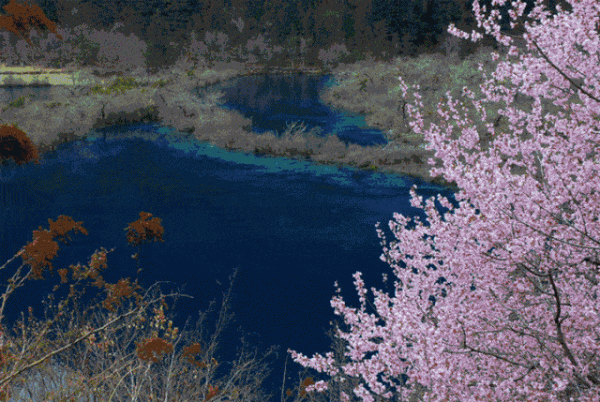 分享——令人迷幻的九寨溝