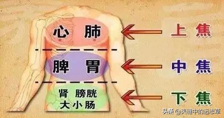 既上火，又怕冷？一劑黃連湯，清上溫下，改善你的上熱下寒