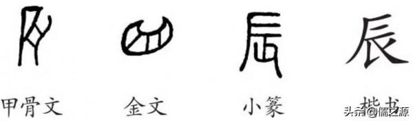 淺談十二地支的起源 淺談十二地支的起源