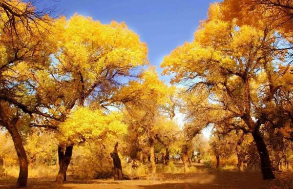 七言：塞外之秋