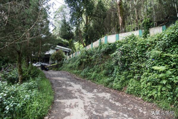 天氣預報：今天八月十三，下雨天氣有啥說法？看看農諺俗語怎麼說