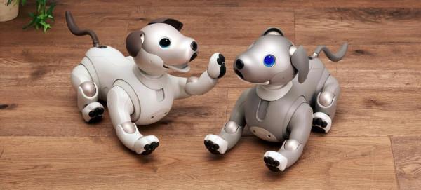 情感工業產品&mdash;&mdash;小狗嬰兒機器人，陪伴是最長情的告白