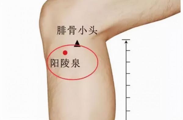 老中醫:7穴位對應7臟腑,一招教你診斷臟腑有沒有問題,值得收藏 老中醫:7穴位對應7臟腑,一招教你診斷臟腑有沒有問題,值得收藏