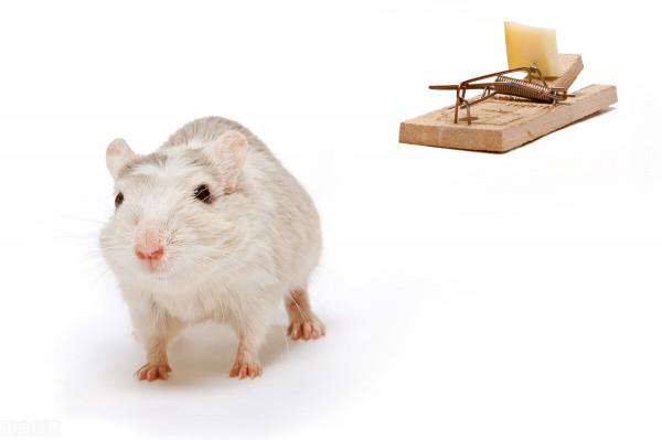 為什麼說一日三餐?什麼時候吃非常重要 為什麼說一日三餐?什麼時候吃非常重要