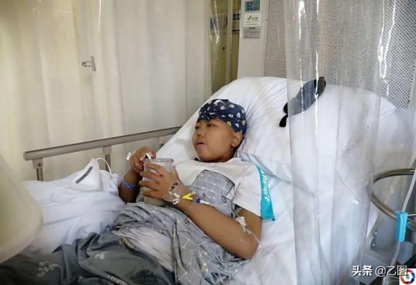 男孩軍訓昏迷倒地，從此告別校園，爺爺每天看著牆上26份獎狀流淚