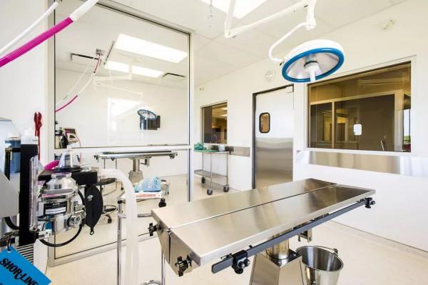 美國就醫付不起?美國護士緊急傳妙招,醫療直升機轉診7萬變70元 美國就醫付不起?美國護士緊急傳妙招,醫療直升機轉診7萬變70元