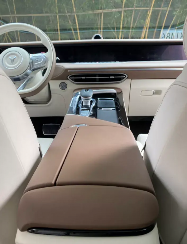 材料工程師體驗嵐圖FREE試裝車：主體已成形，細節再推敲