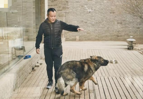 把馬推下懸崖、炸死功勳犬，為了所謂的藝術，他們什麼都乾的出來