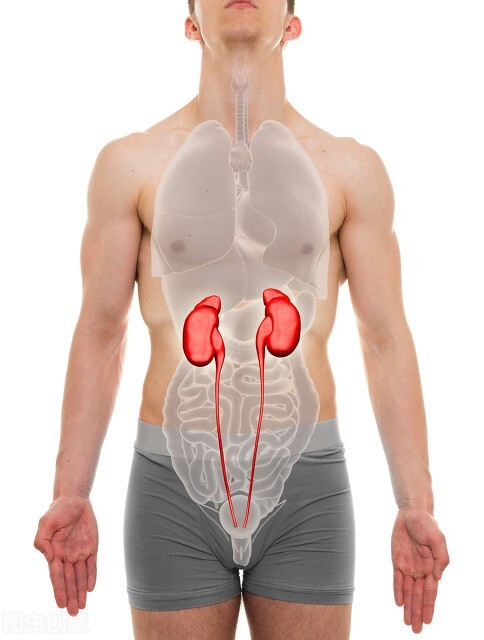 冬季養生，選好時機，效果明顯