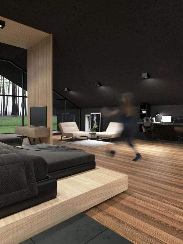 紐約哈里曼州立公園的黑色別墅