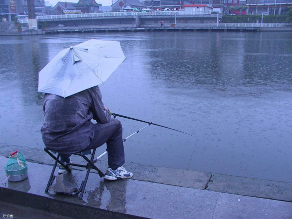 深秋降溫之後，釣深還是釣淺，看完這三個條件你就知道了