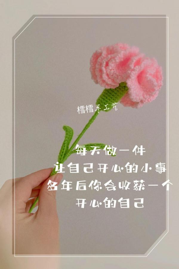 100種花卉勾法第2種-康乃馨（附圖解教程）