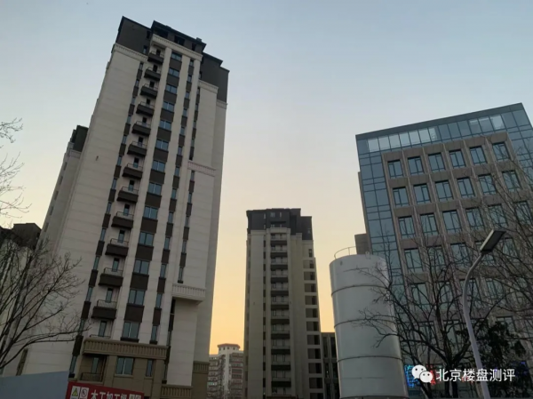 天恆·學院裡：聽噪聲，薅羊毛