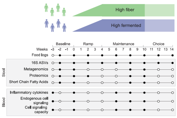 《細胞》:發酵食品能改善免疫!科學家發現,吃發酵食品能透過腸菌調節促炎細胞因子,或有助於治療慢性病 | 臨床大發現 《細胞》:發酵食品能改善免疫!科學家發現,吃發酵食品能透過腸菌調節促炎細胞因子,或有助於治療慢性病 | 臨床大發現