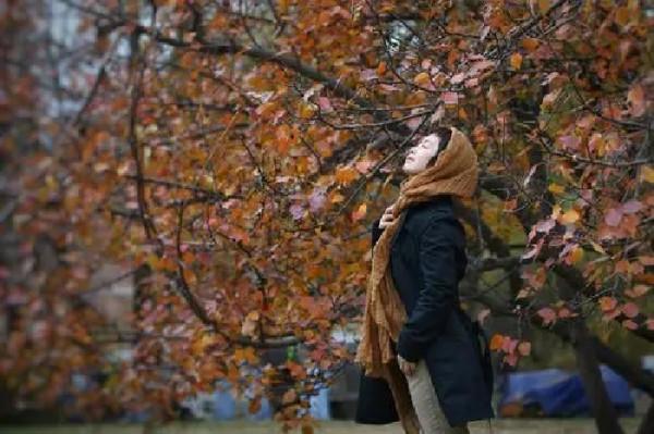 〔七律〕暮秋感懷 〔七律〕暮秋感懷