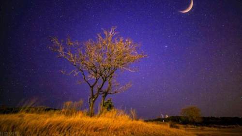 這兩首意蘊悽美的唐詩，被蘅塘退士選入《唐詩三百首》，值得一讀