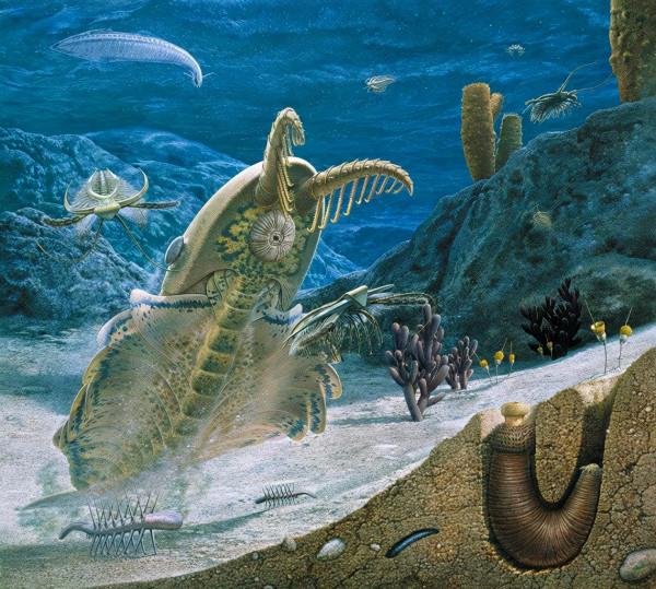 從寒潮低溫來看生物進化 從寒潮低溫來看生物進化