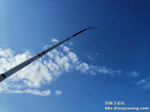 轉戰兩地，終獲一碗鮮