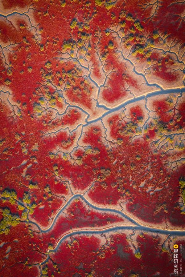 出發！看中國五大國家公園