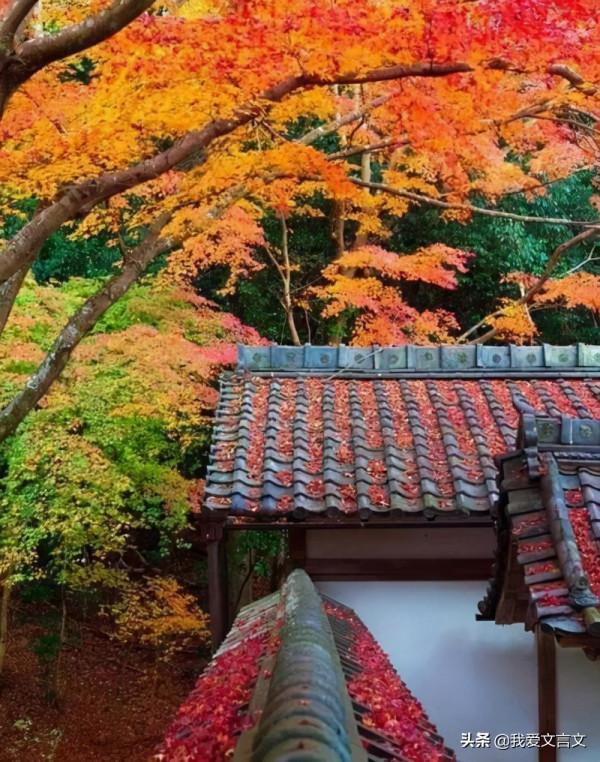 十首最好的秋日詩詞,哪一首能撩動你的心絃? 十首最好的秋日詩詞,哪一首能撩動你的心絃?