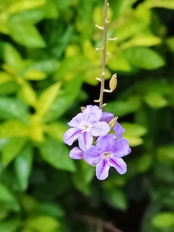 孤獨時與文字聊天