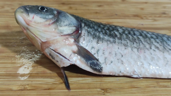 鯽魚去刺這麼簡單，154根骨刺根根去除，吃魚像吃豆腐一樣放心