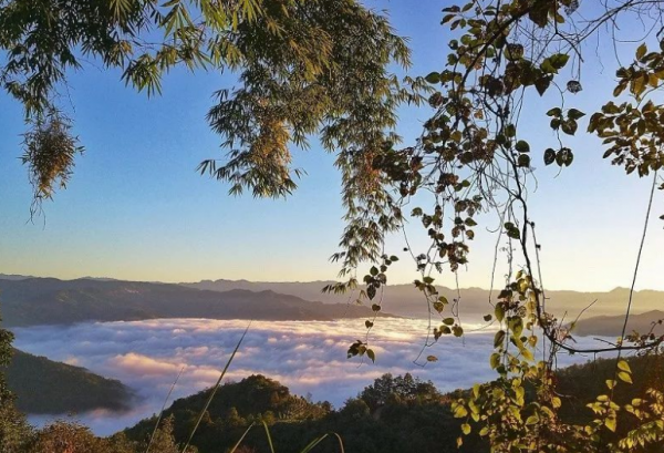 「新詩採擷」蘇然 | 這秋日多麼美好（組詩）