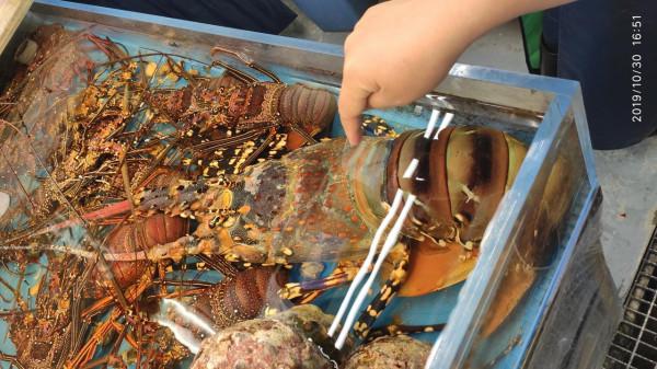 日本沖繩島自駕遊(一)，那霸市內閒逛，僥倖看到了焚燬前的首裡城