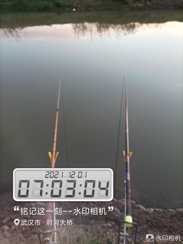 5米寬的河溝頻率逐漸加快，魚口竟然如此暴躁