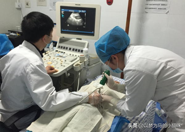 很缺人的6大醫學專業，爭議比較大，但就業率很高，適合男生報考