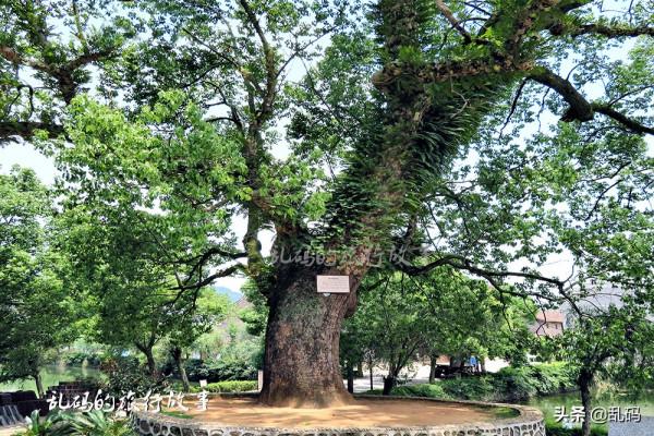 江西這個古村 一磚一瓦皆是文物 被譽為“千古第一村”卻少有人知 江西這個古村 一磚一瓦皆是文物 被譽為“千古第一村”卻少有人知