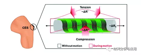 江南大學：基於碳奈米管改性螺旋紗線的可穿戴應變感測器
