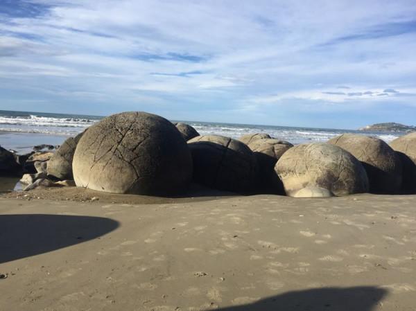 上帝的自留地紐西蘭（7）&mdash;&mdash;圓石、蛤蜊、自由奔放