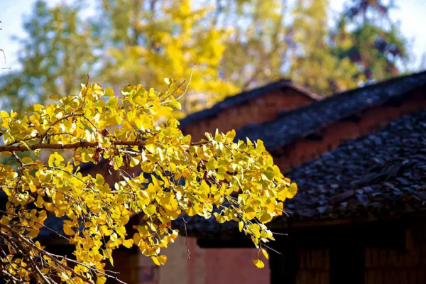 最適合自駕的季節,12條自駕路線,人少景美,總有一條適合你 最適合自駕的季節,12條自駕路線,人少景美,總有一條適合你