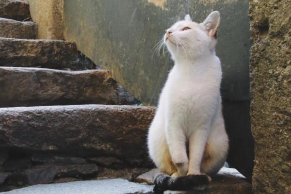 感到迷茫時，就讀一讀這30個句子，能讓你豁然開朗
