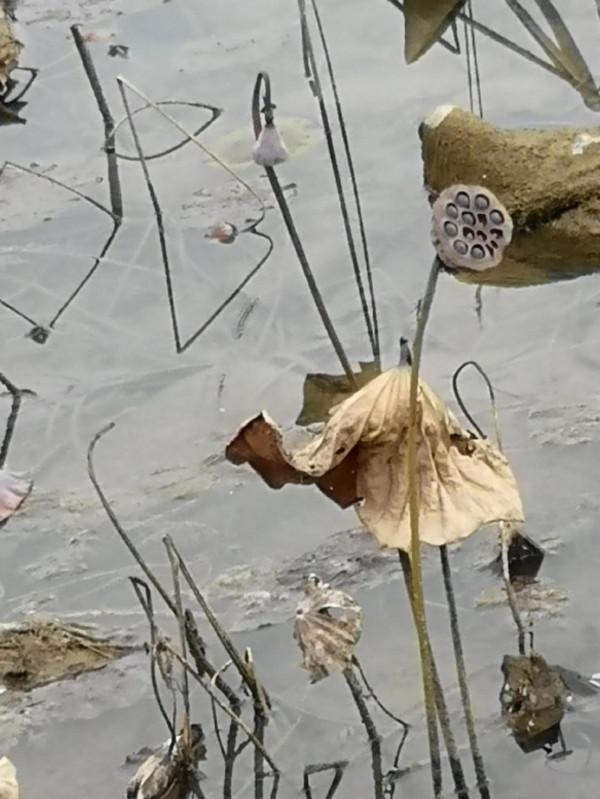 冬天的貴州景區：天河潭