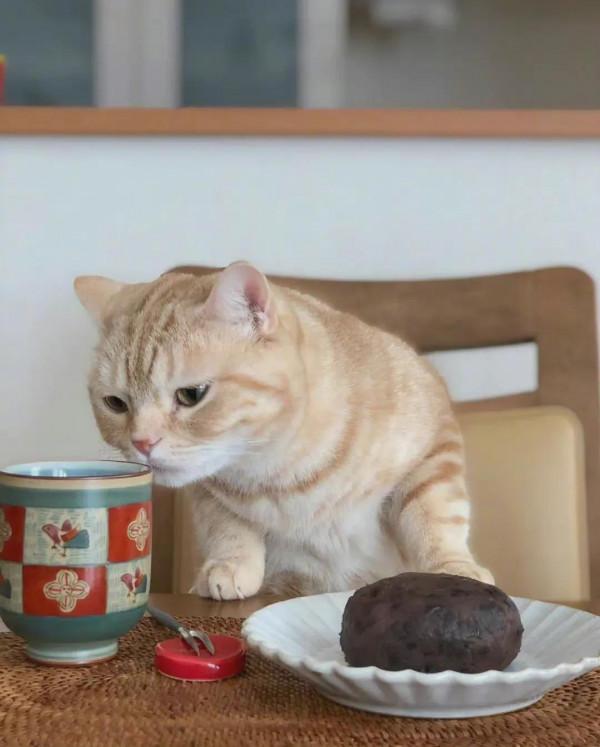 新一週的星座運勢來啦！快來準備簽收！白羊金牛雙子巨蟹獅子處女